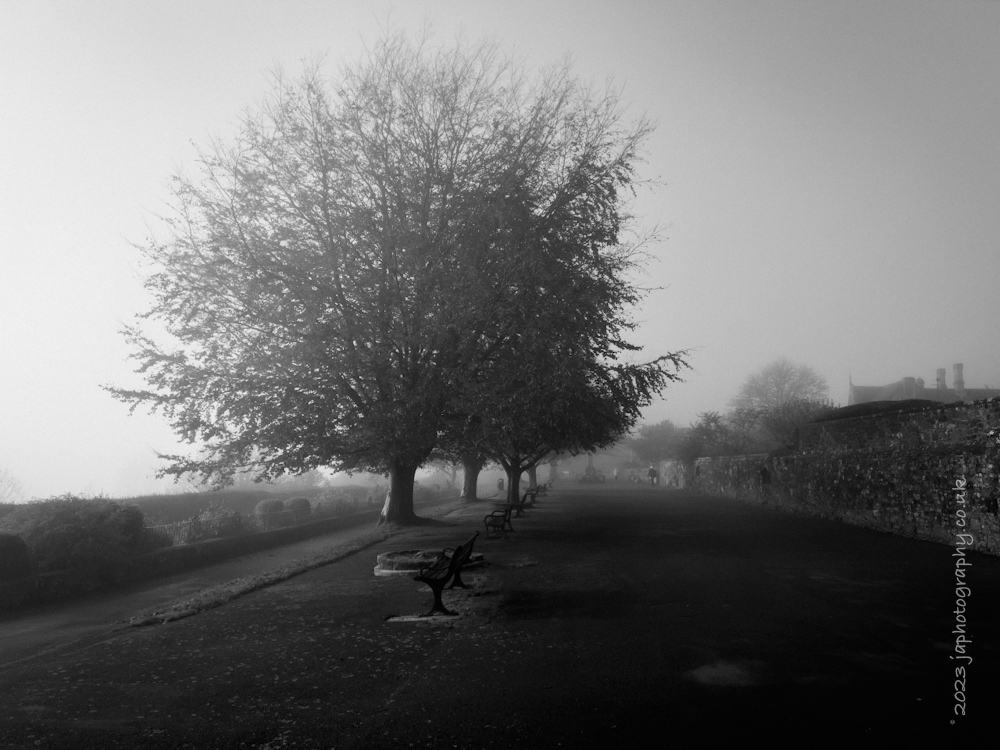 Misty Morning Walk