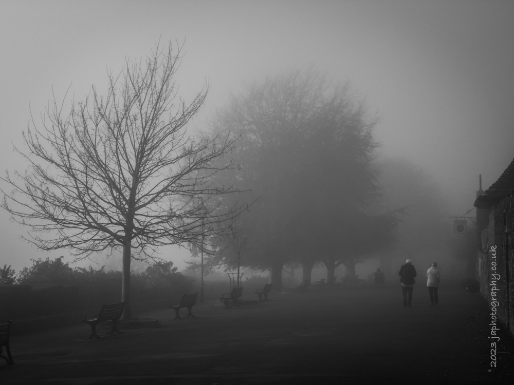 Misty Morning Walk 2