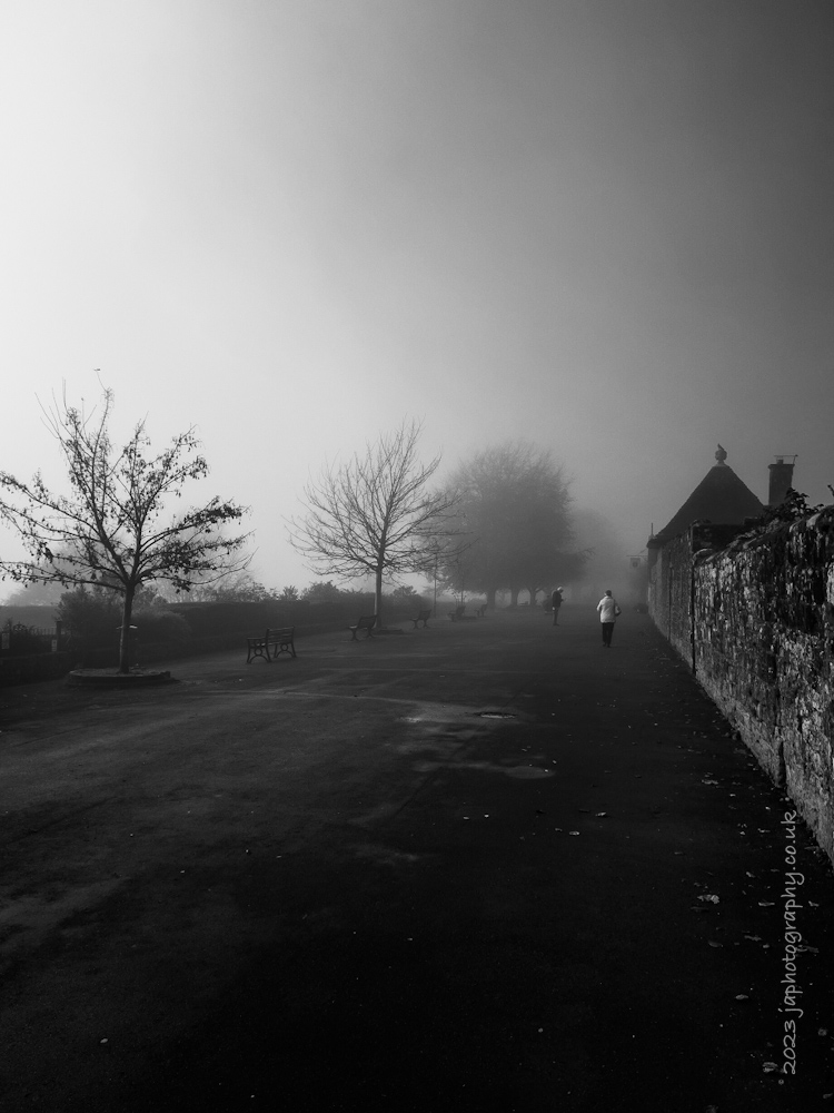 Misty Morning Walk 3